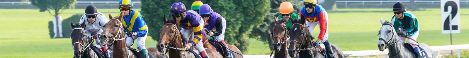 Live Horse Racing Online Streams Watch Free